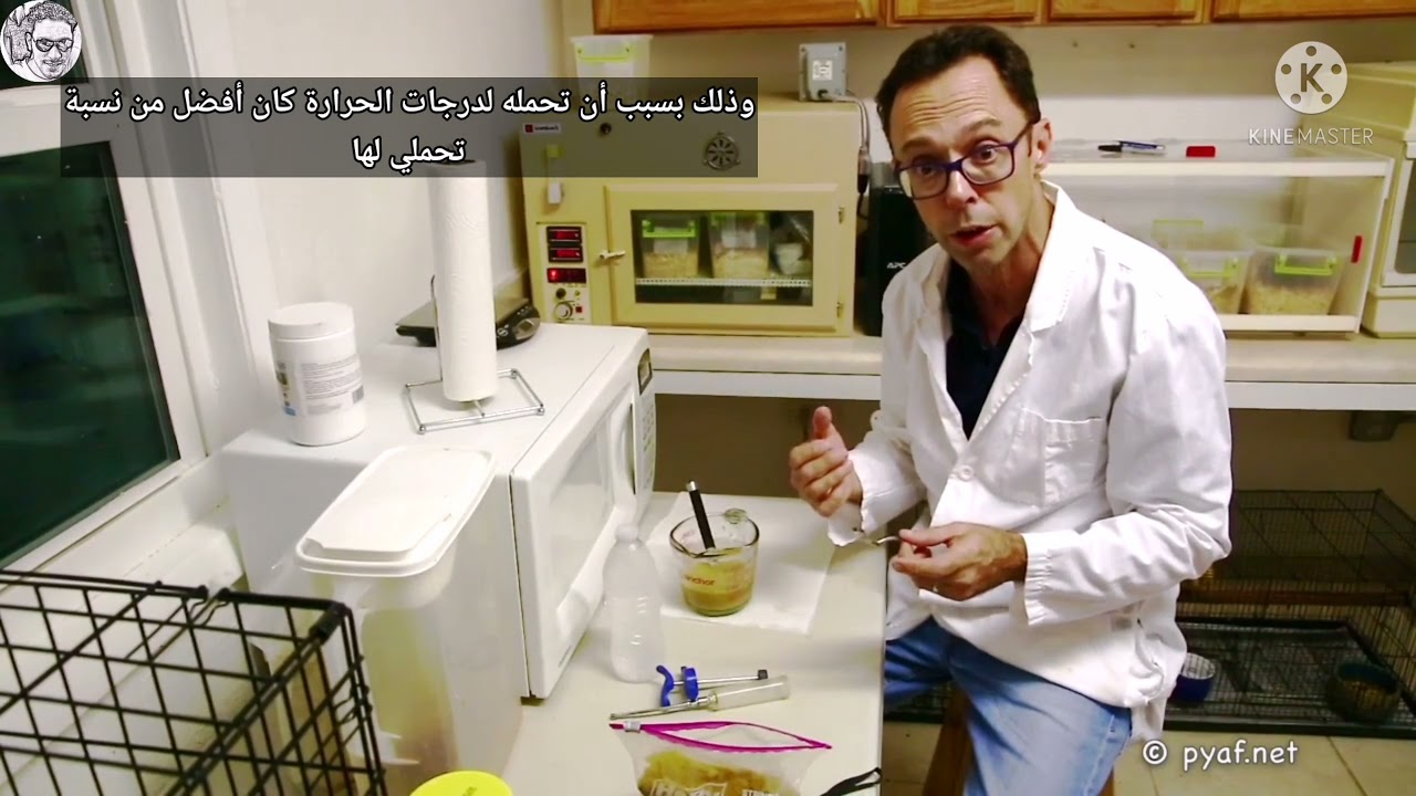 توني سيلفا: المبادىء الأساسية للتغذية اليدوية / Tony Silva: Hand-Rearing Basic Principals
