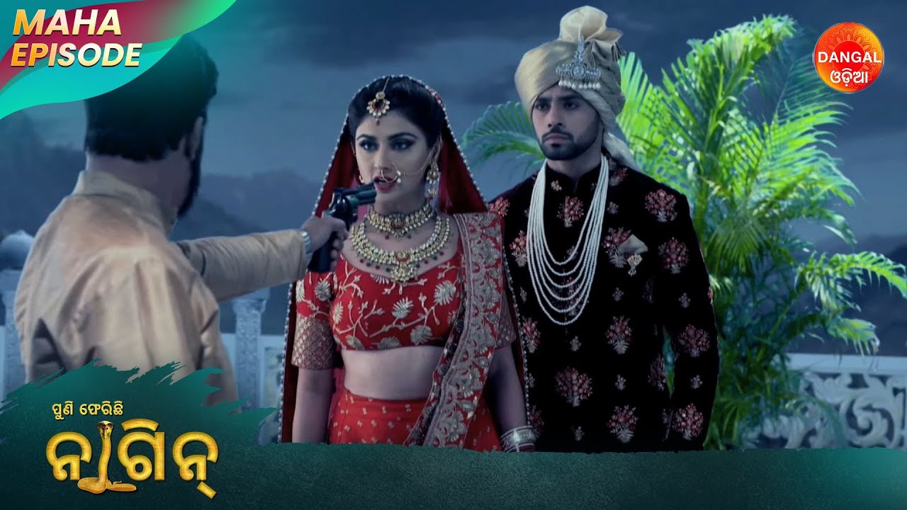 Puni Pherichi Naagin | Maha Episode | Dangal Odia | ପୁଣି ଫେରିଛି ନାଗୀନ | #punipherichinaagin