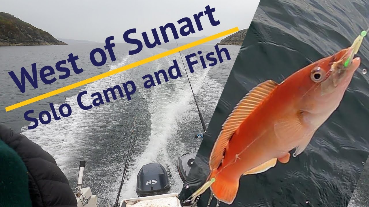West of Sunart | Solo camp and fish