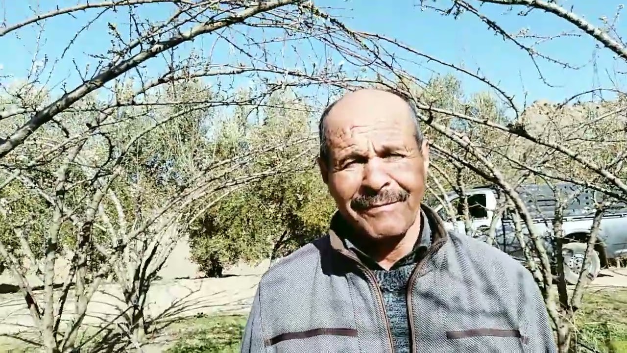 زيارة خاصة لإحدى الضيعة الفلاحية المغروسة باشجار البرقوق من الصنف الممتاز بلاك امبير. بضواحي ازرو.