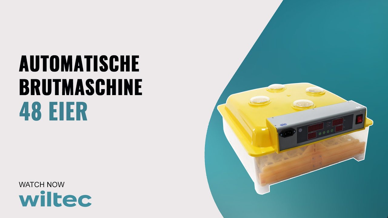 Automatische Brutmaschine f&uuml;r 48 Eier