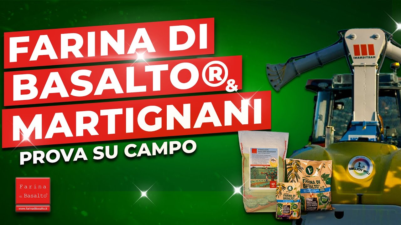 𝐅𝐚𝐫𝐢𝐧𝐚 𝐝𝐢 𝐁𝐚𝐬𝐚𝐥𝐭𝐨® e 𝐌𝐚𝐫𝐭𝐢𝐠𝐧𝐚𝐧𝐢 a nutrizione e protezione delle piante -𝐏𝐑𝐎𝐕𝐄 𝐈𝐍 𝐂𝐀𝐌𝐏𝐎 -