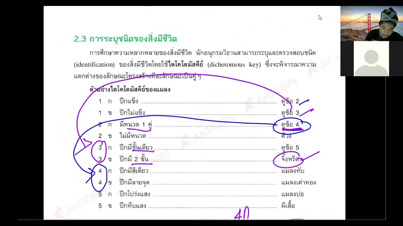ชีววิทยา ม 6 การระบุชนิดของสิ่งมีชีวิต