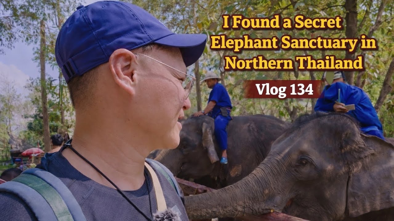 I Found a Secret Elephant Sanctuary in Northern Thailand, Vlog 134