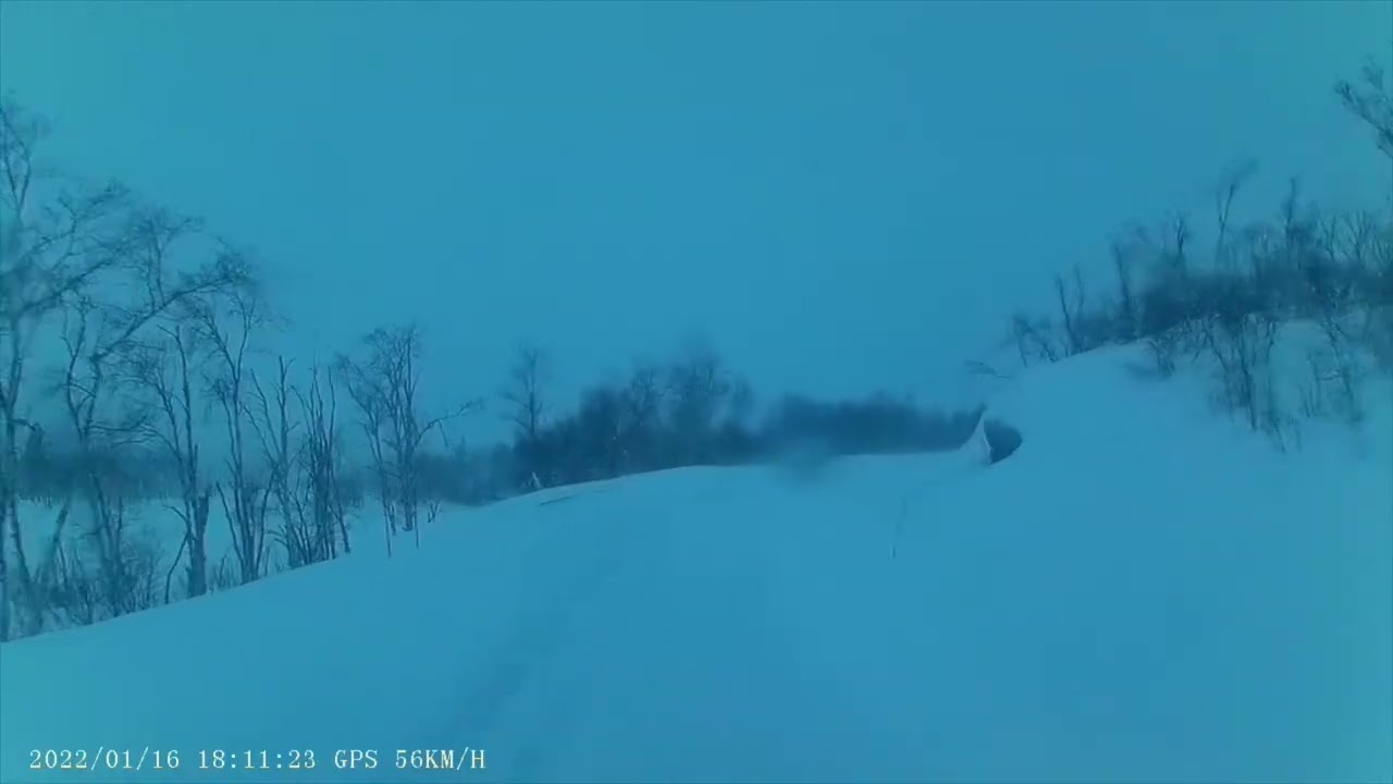 WTF Transport 
