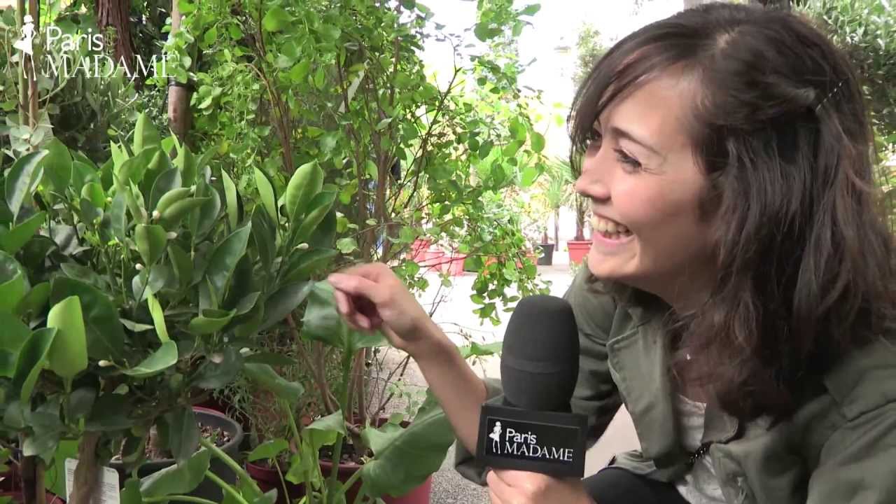 パリの中心にあるオアシス、シテ島の花市場へ