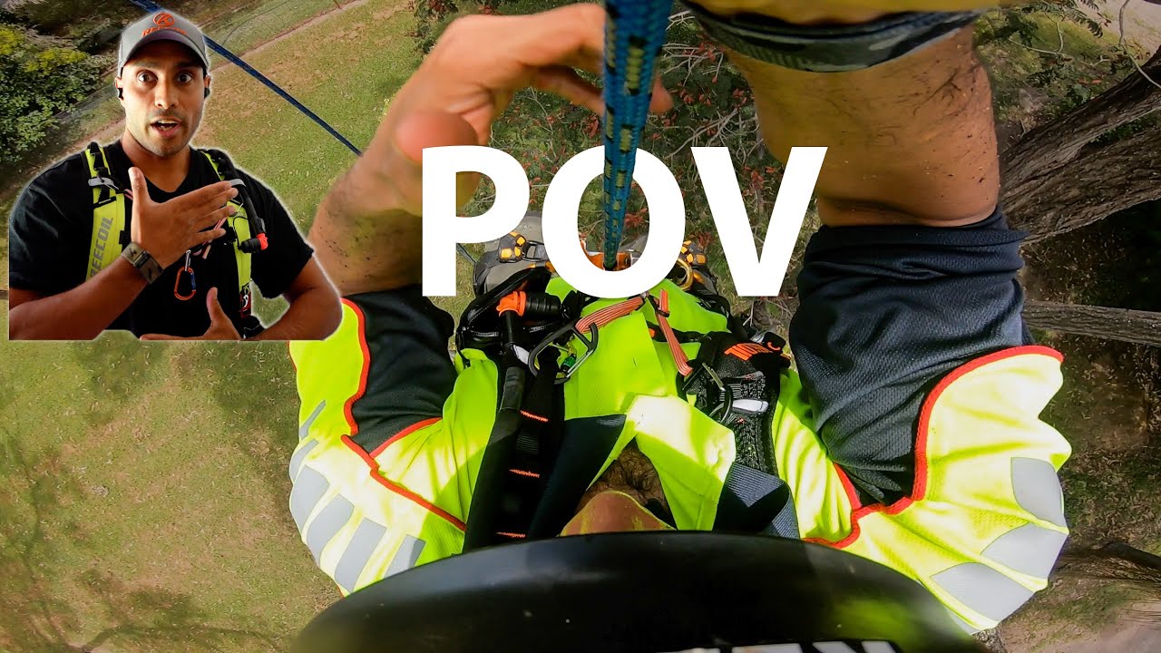 POV: How To Climb A Tree SRT - This is my favourite setup!