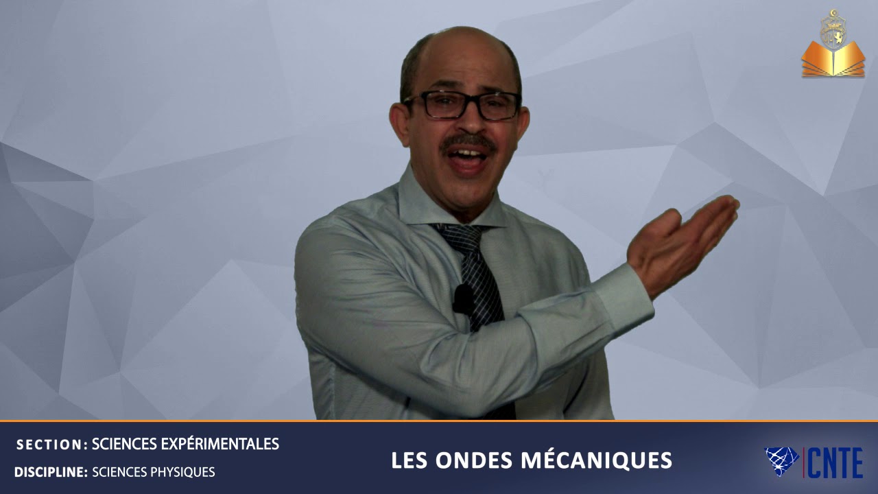 Section Sciences Expérimentales - Sciences Physiques : Les ondes mécaniques