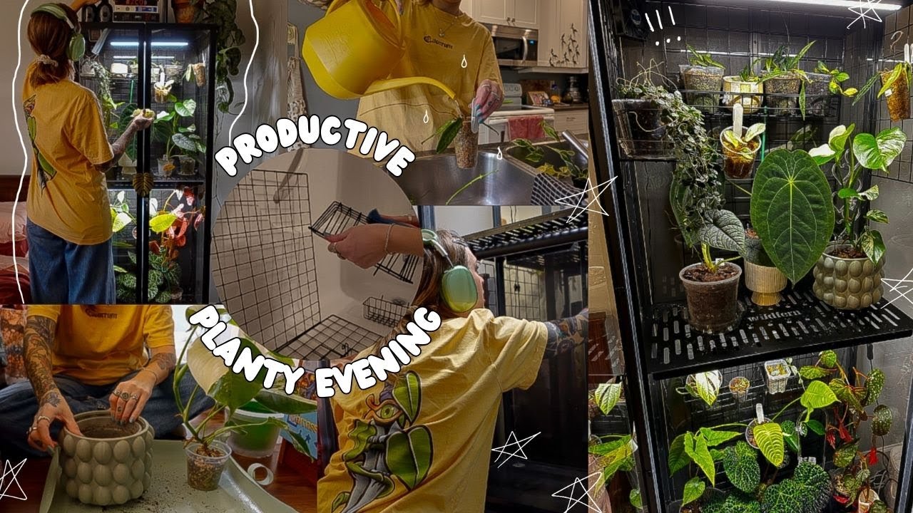ikea greenhouse cabinet reset | cozy hangout while i deep clean and do plant care 🪴🫧🧼☕️