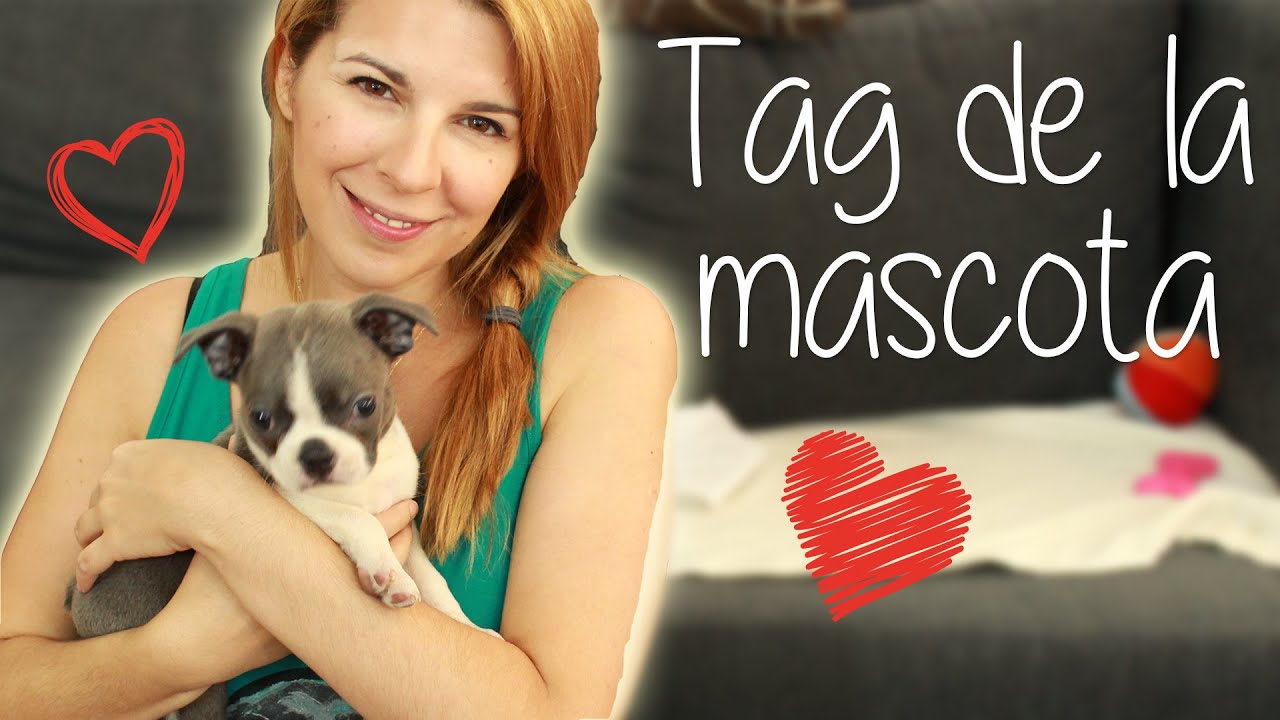 TAG DE LA MASCOTA, CONOZCAN A EMMA! - Ceci Saia