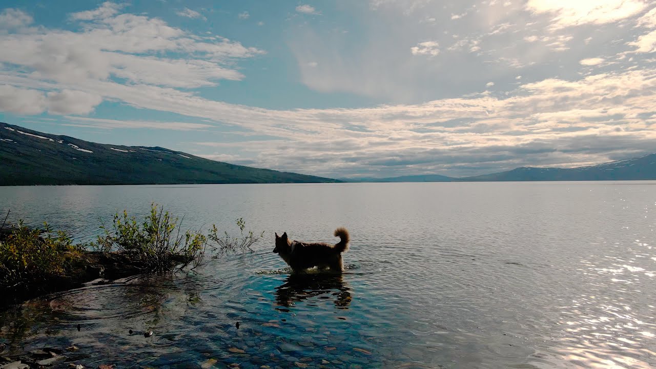 Røssvatnet, Høystakkneset - Property sale - Mavic Air 2