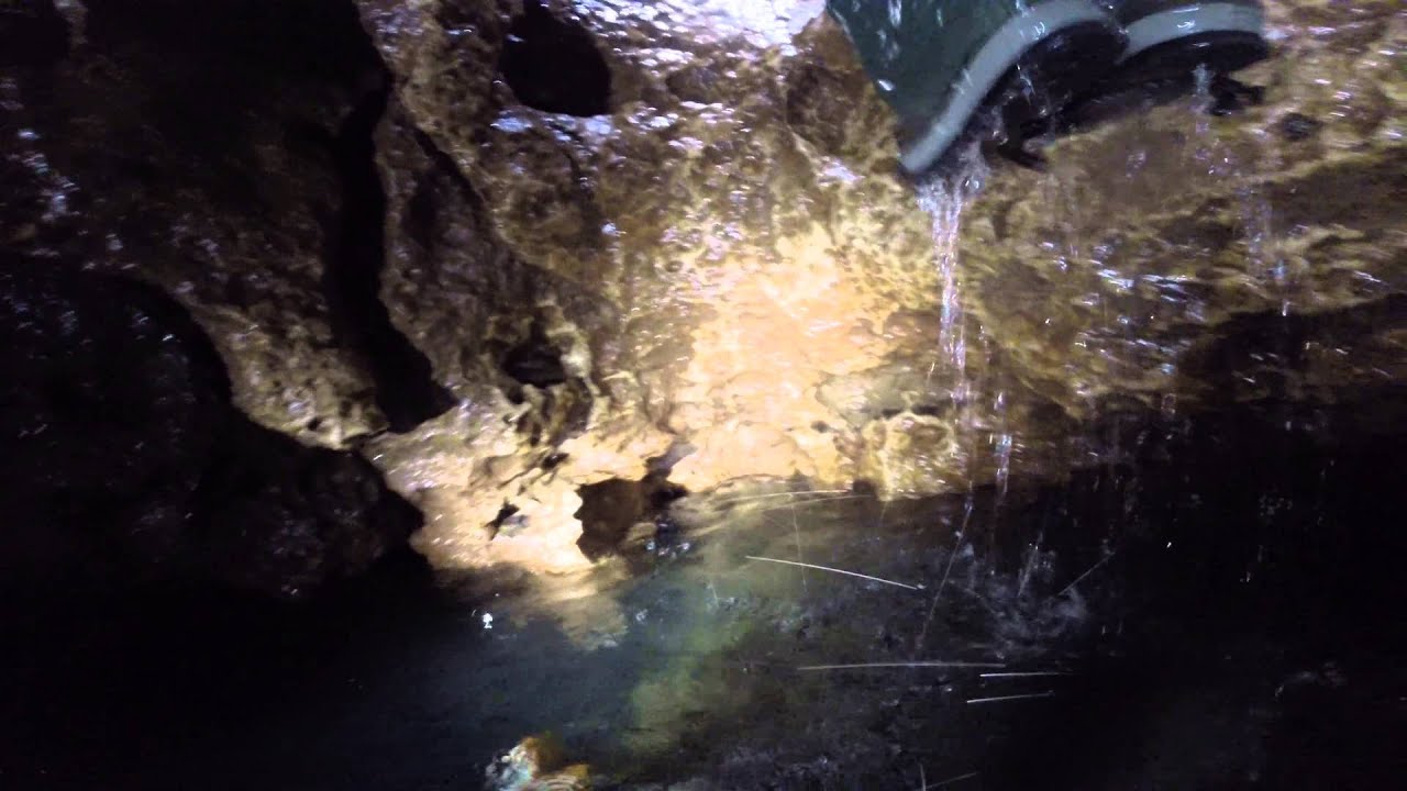 Caving in Puerto Rico Via Aventuras Tierra Adentro in Angeles Cave Rio Camuy Cave System