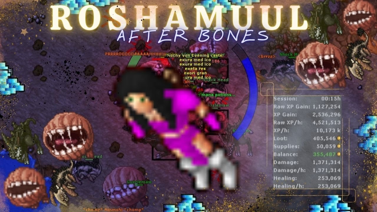 EK SOLO ROSHAMUUL AFTER BONES 6.9KK/H 150% EXP | 1.4KK/H PROFIT