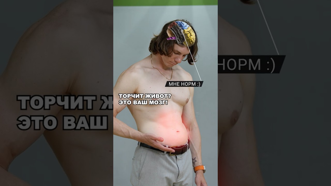 ВЫПИРАЕТ ЖИВОТ? ЭТО ВАШ МОЗГ! 🧠