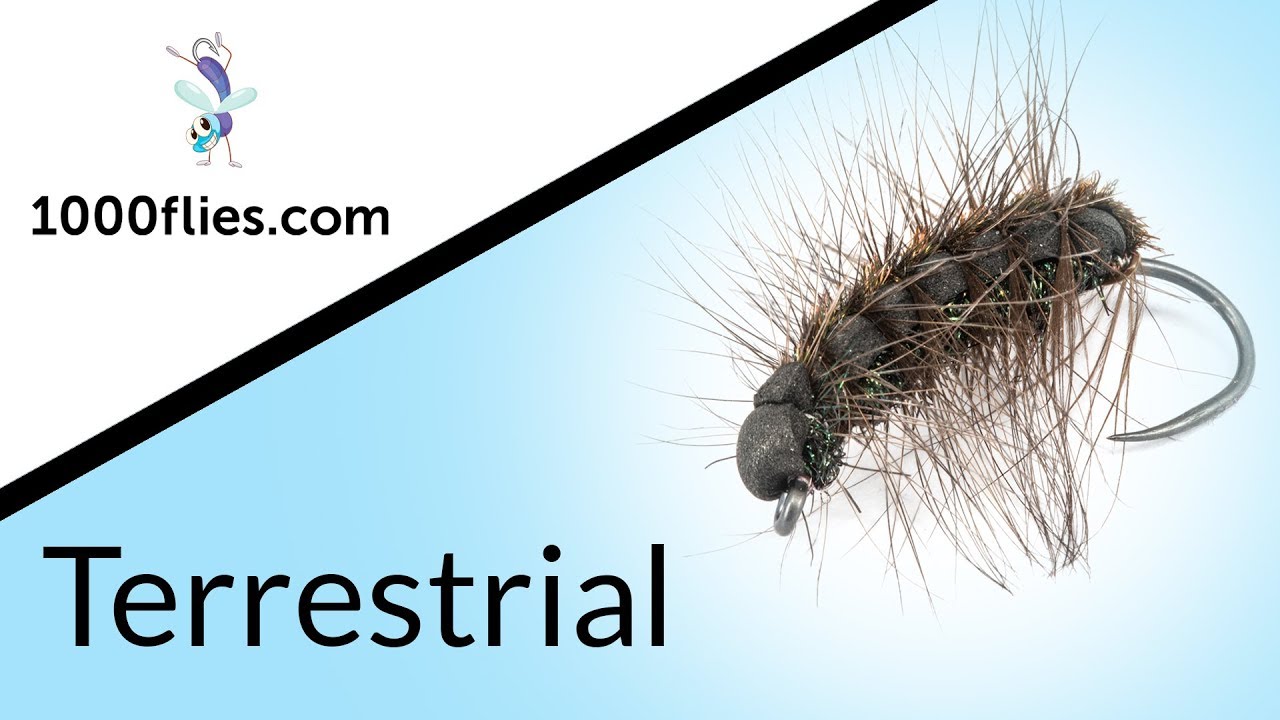 TERRESTRIAL MOSCA SECCA - Costruzione Mosche | EP. 11
