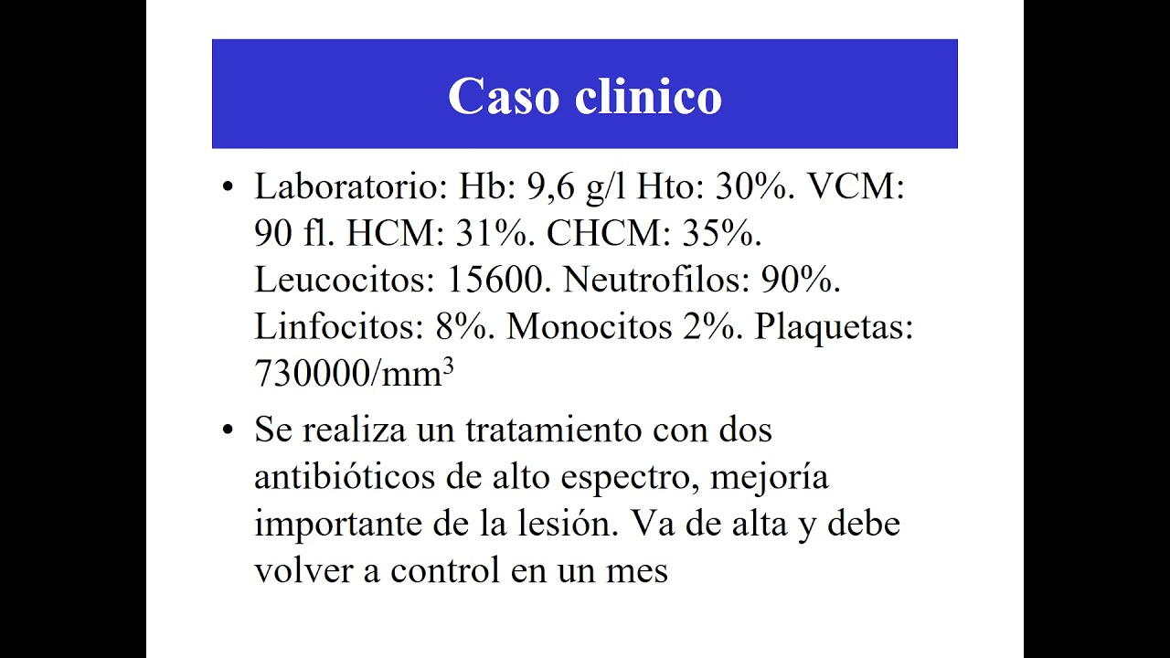 Fisiopatologia  de los Leucocitos
