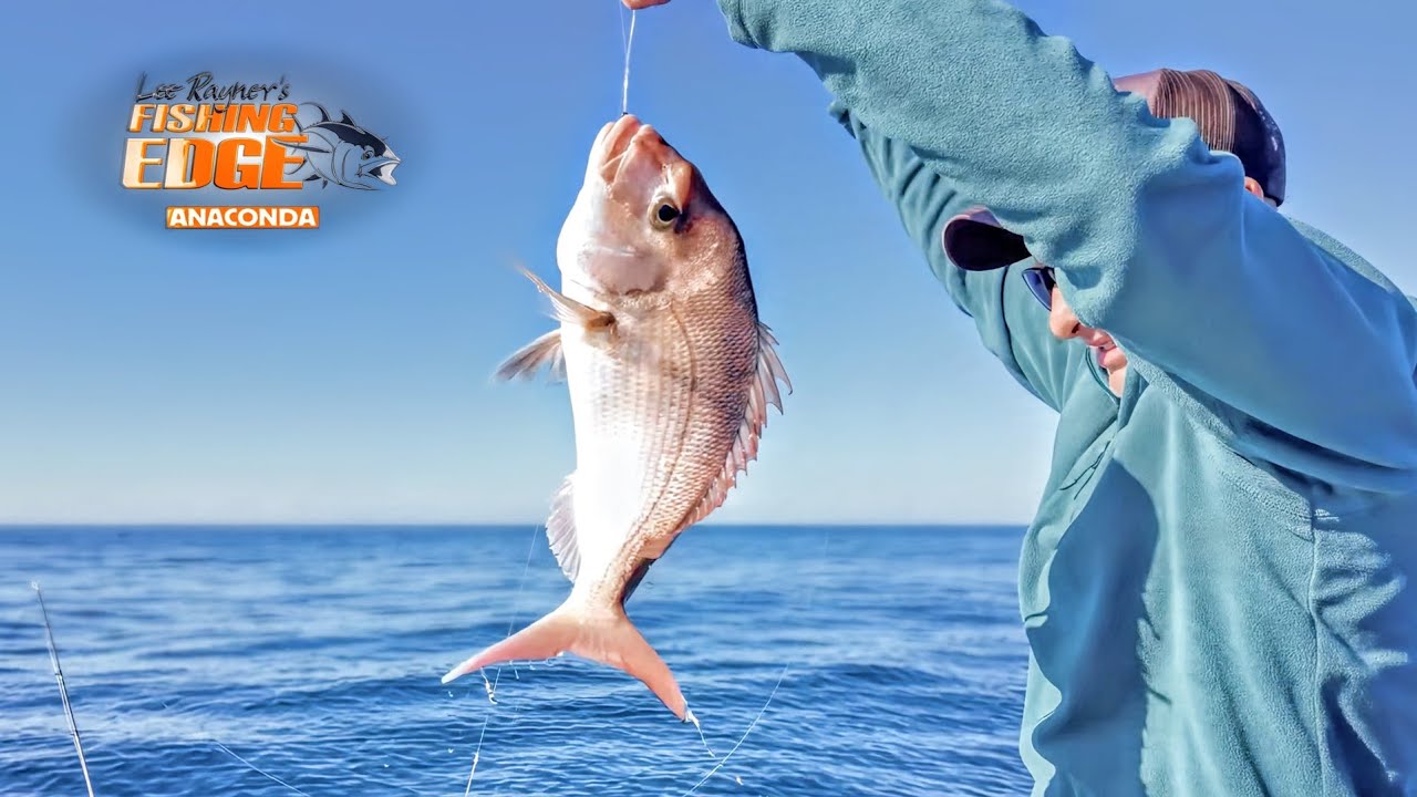 Exploring Offshore Reefs for a Tasty Mixed Bag