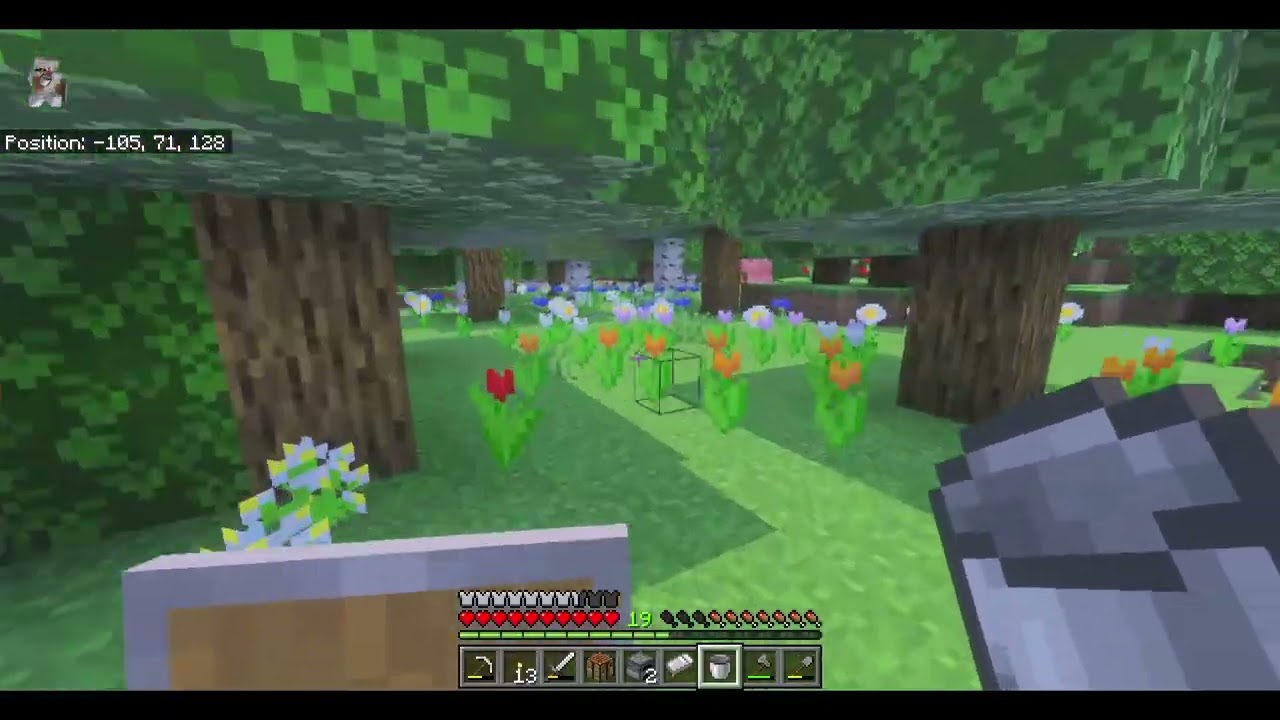 Minecraft Solo Pt.2
