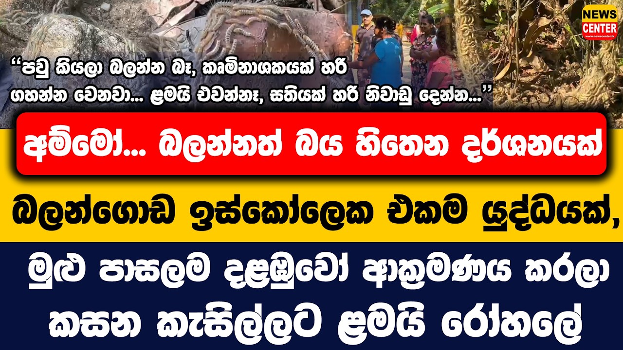 බලන්ගොඩ ඉස්කෝලෙක එකම යුද්ධයක්, මුළු පාසලම දළඹුවෝ ආක්‍රමණය කරලා | කසන කැසිල්ලට ළමයි රෝහලේ