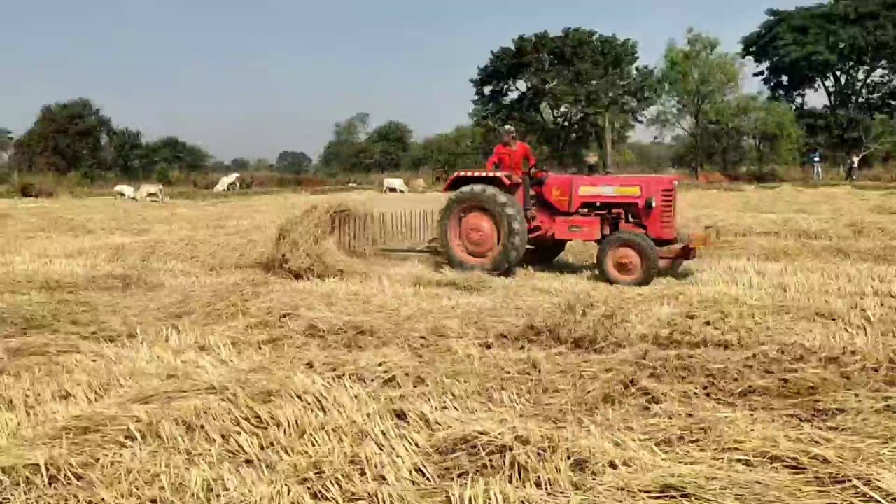 parali ekattha karne ka desi jugad पराली इकट्ठा करने का देसी जुगाड़