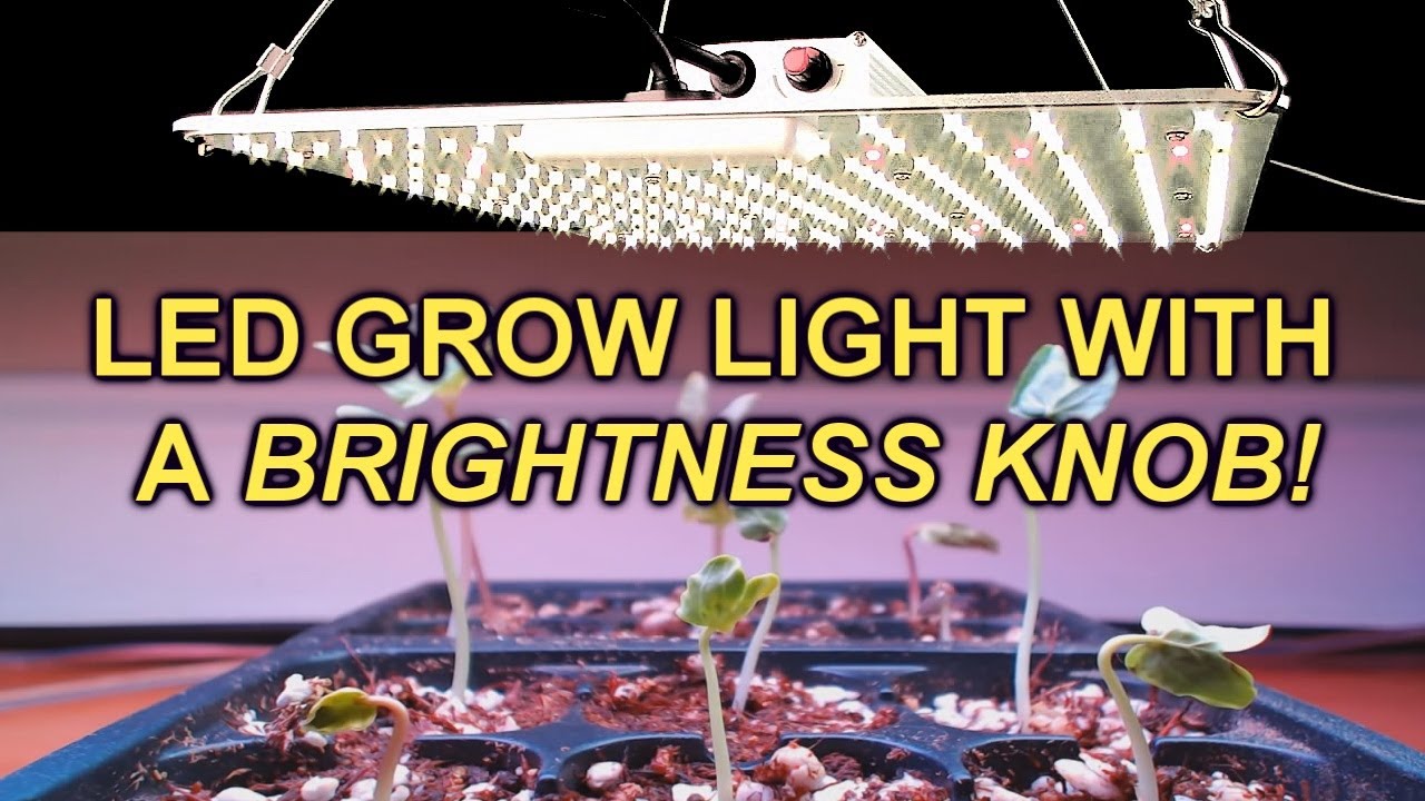 BEST LED Grow Light with a Brightness Knob Full Spectrum for Indoor Plant REVIEW