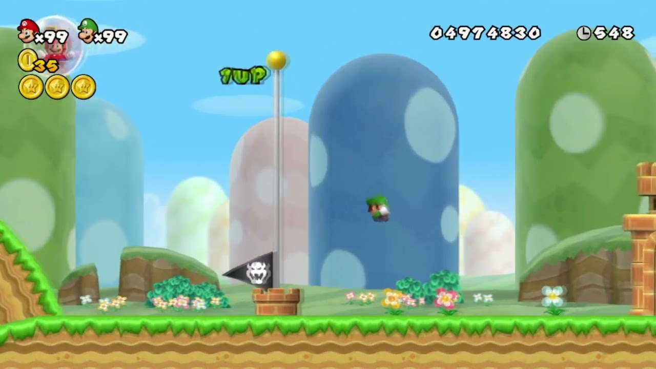 New Super Mario Bros Wii all win animations