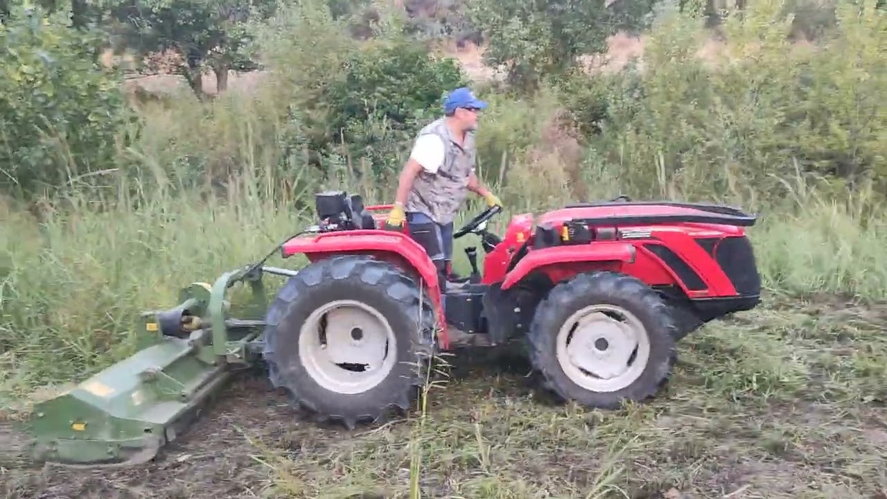 Trinciatura Agosto 2025