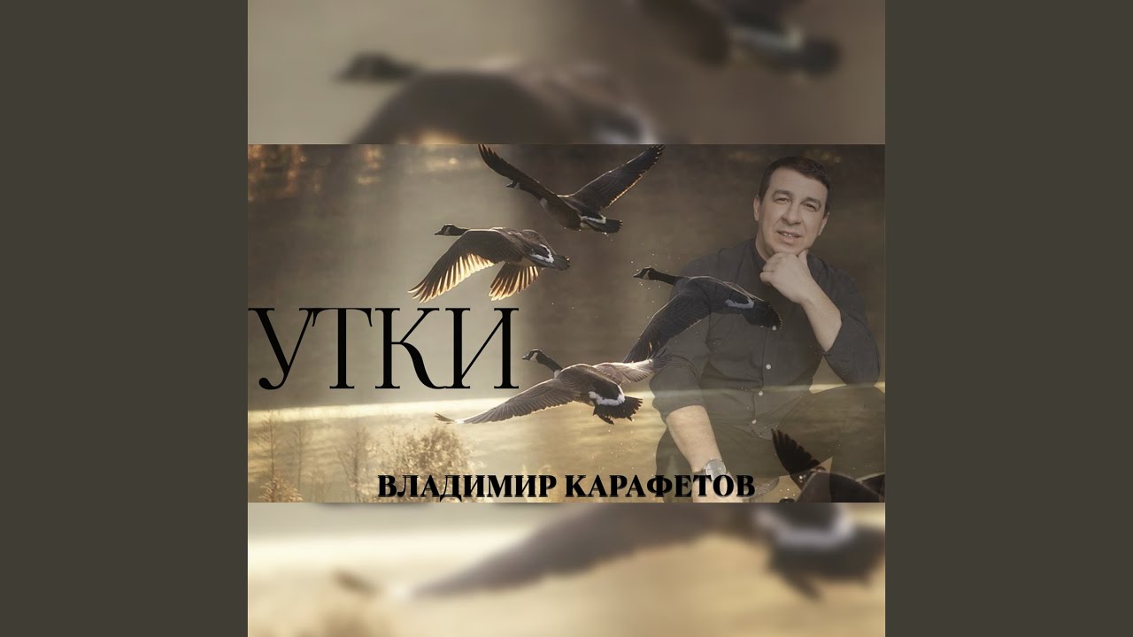 Утки