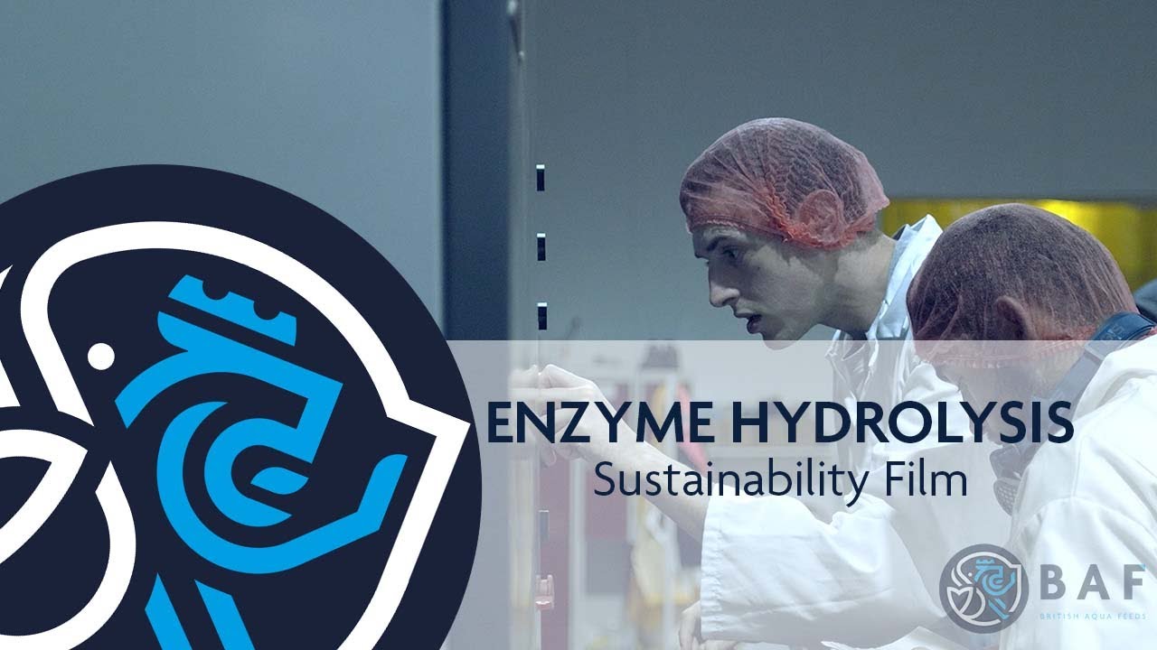 Enzyme Hydrolysis | Sustainability | British Aqua Feeds
