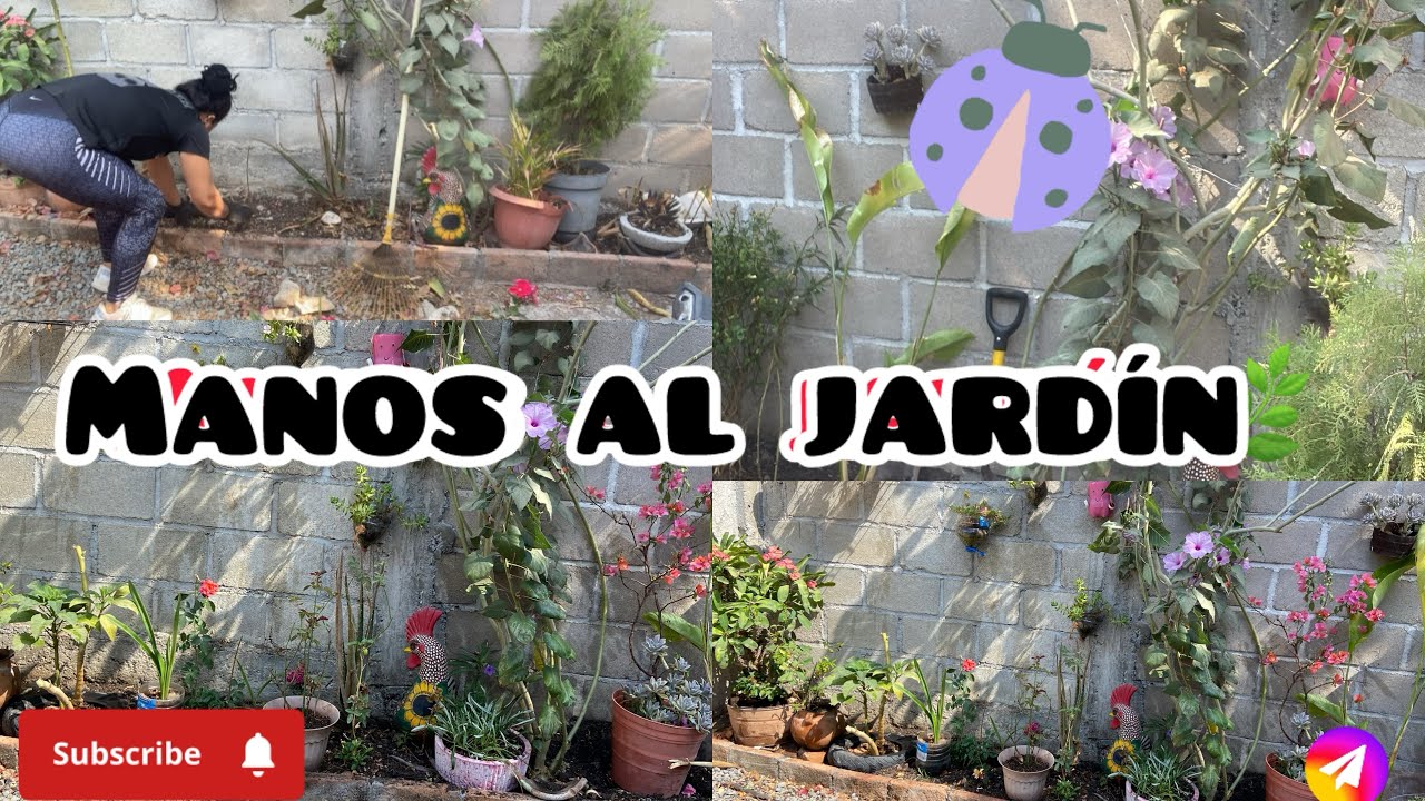🌿Terminando de trasplantar Y limpiando esta parte de mi jardín | Así va quedando 😍