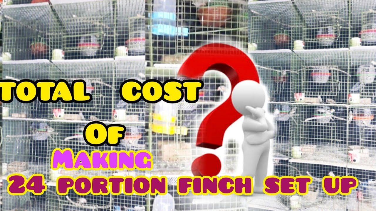 TOTAL COST OF MAKING 24 PAIR ZEBRA FINCHES FULL SETUP.