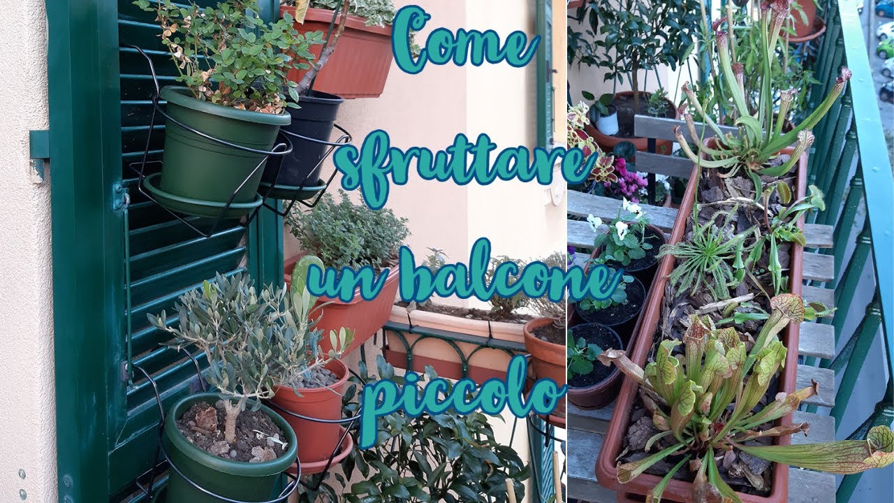 Seconda parte del PLANT TOUR🍃 - come sfruttare poco spazio!