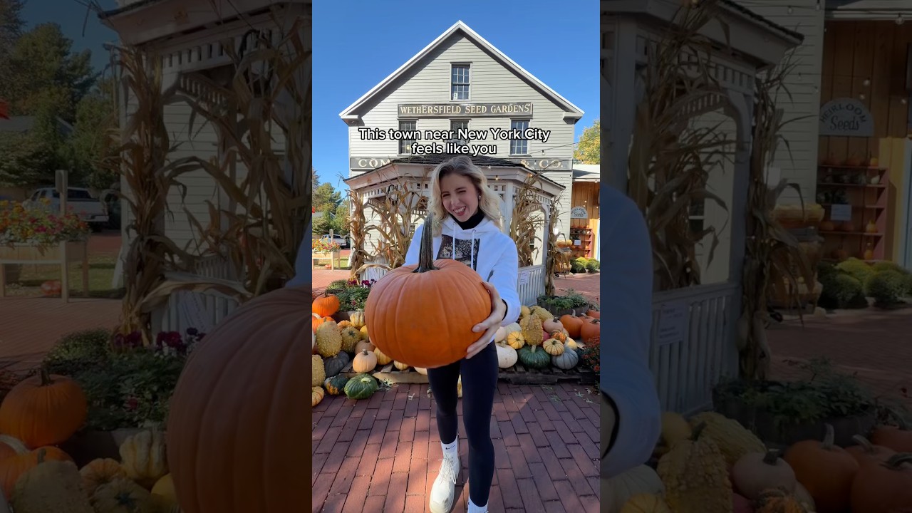 Day trip from NYC 🎃 Fall Town #wethersfield #fallactivities #halloween #weekend #connecticut