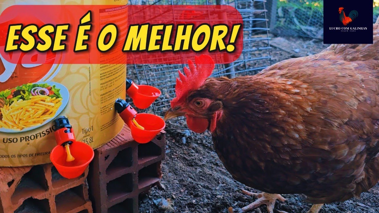 COMO FAZER BEBEDOURO PARA GALINHAS, MUITO FÁCIL E BARATO!