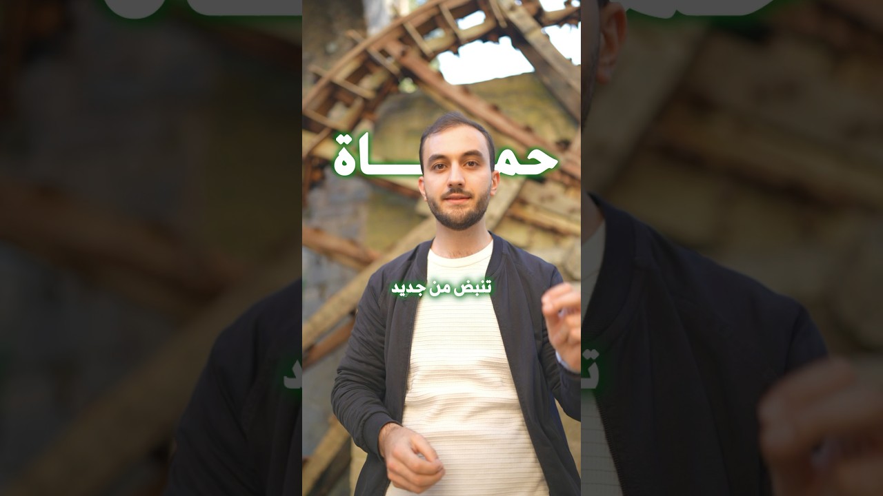 حماة تنبض من جديد