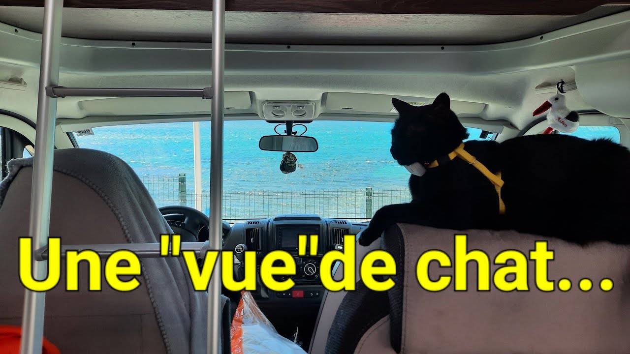 Les vues de La Ciotat et Cassis