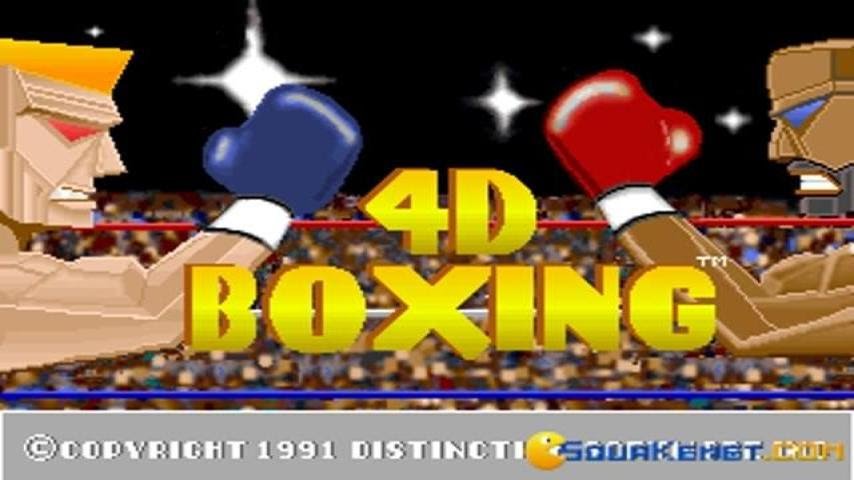 4D Sports Boxing gameplay (PC Game, 1991)
