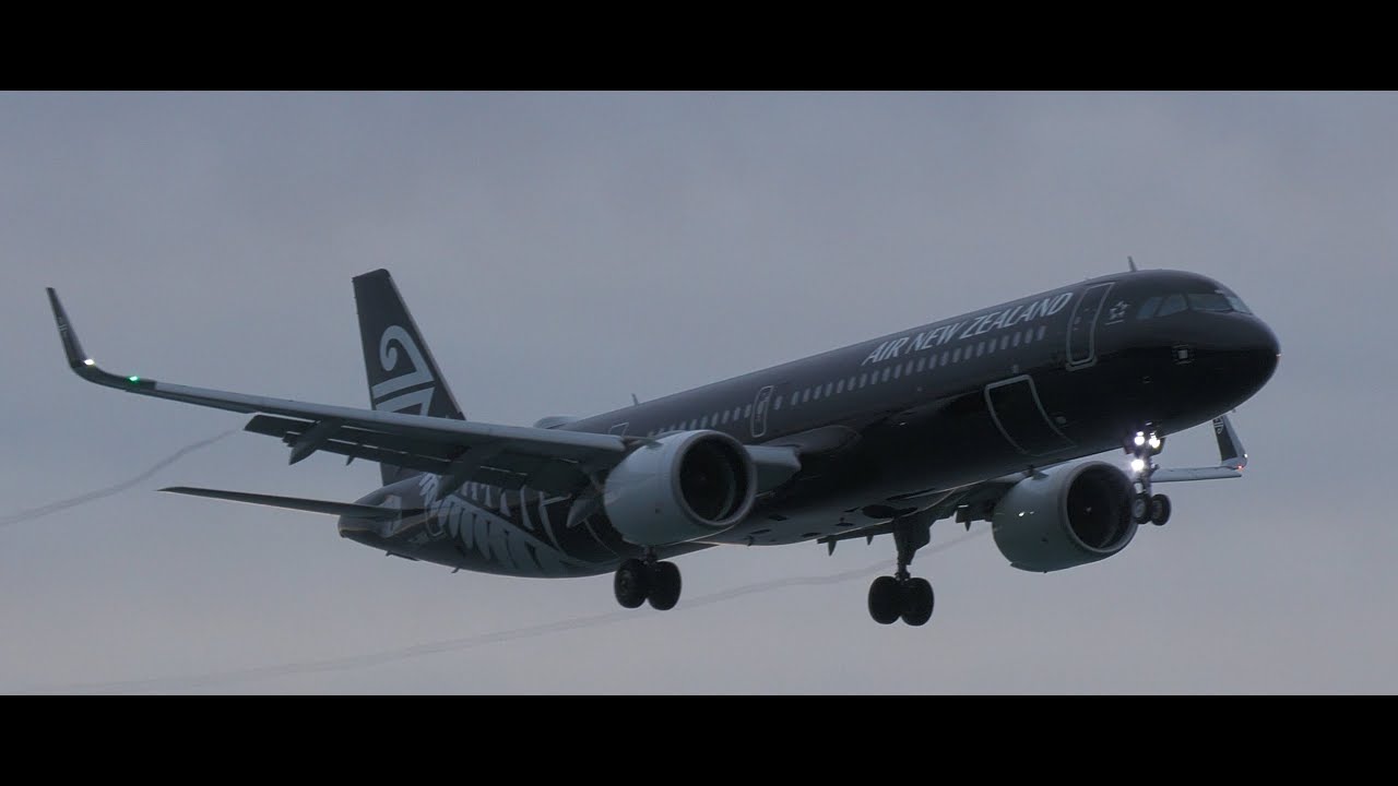 Windy Welly Livestream with Kev
