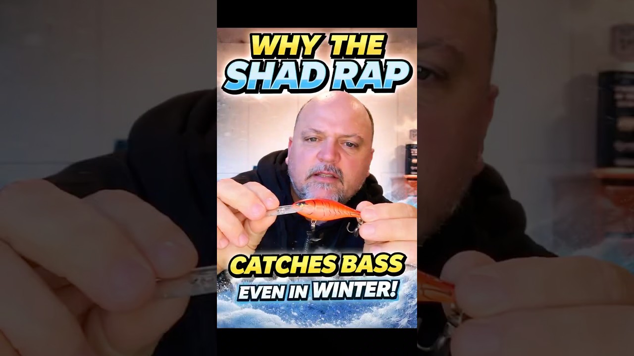 Shad Rap Still Catches Bass (Even in Winter)