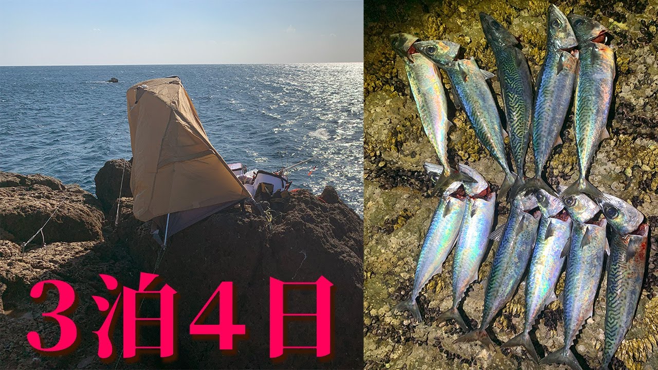 【釣りキャンプ】和歌山県 串本町【須江崎】実釣編　遠投カゴ釣り　水中映像有り3/3