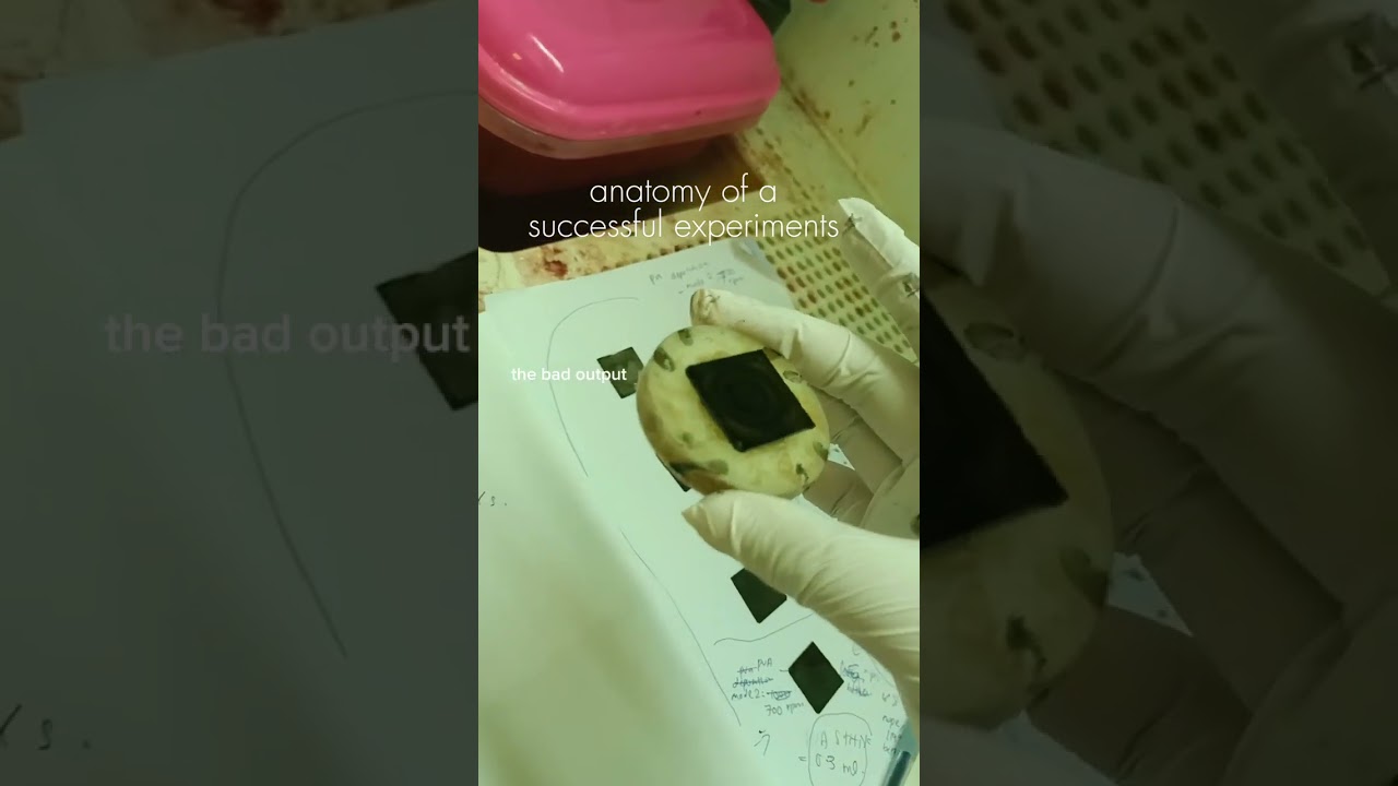 (240522) 🔥🧪 anatomy of a successfull experiment #phdlife #vlog #experiment