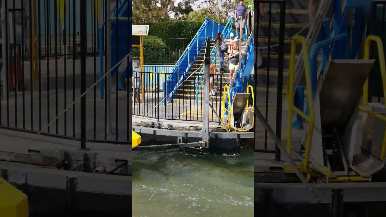 Aquazone Wave Racers