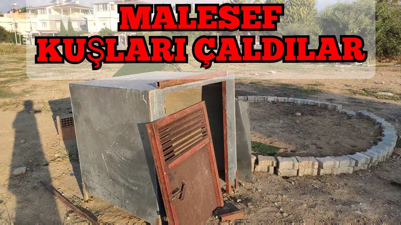 KUŞLARIN HEPSİ ÇALINDI.GUVERCİN NAMINA BİR ŞEY KALMAMIŞ