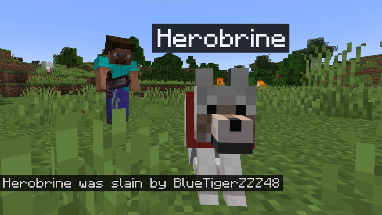 Naming someone's dog Herobrine then killing it