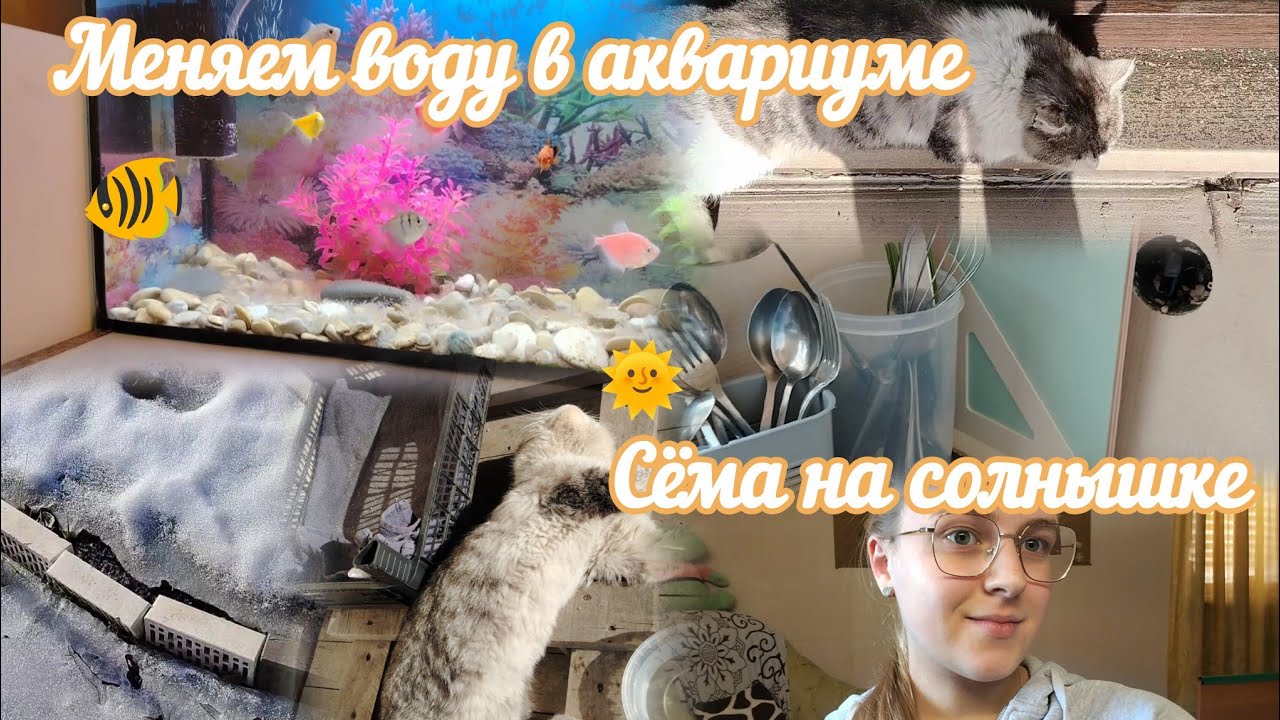 ВЛОГ Меняем воду в аквариуме🐠 Сёма на солнышке🌞