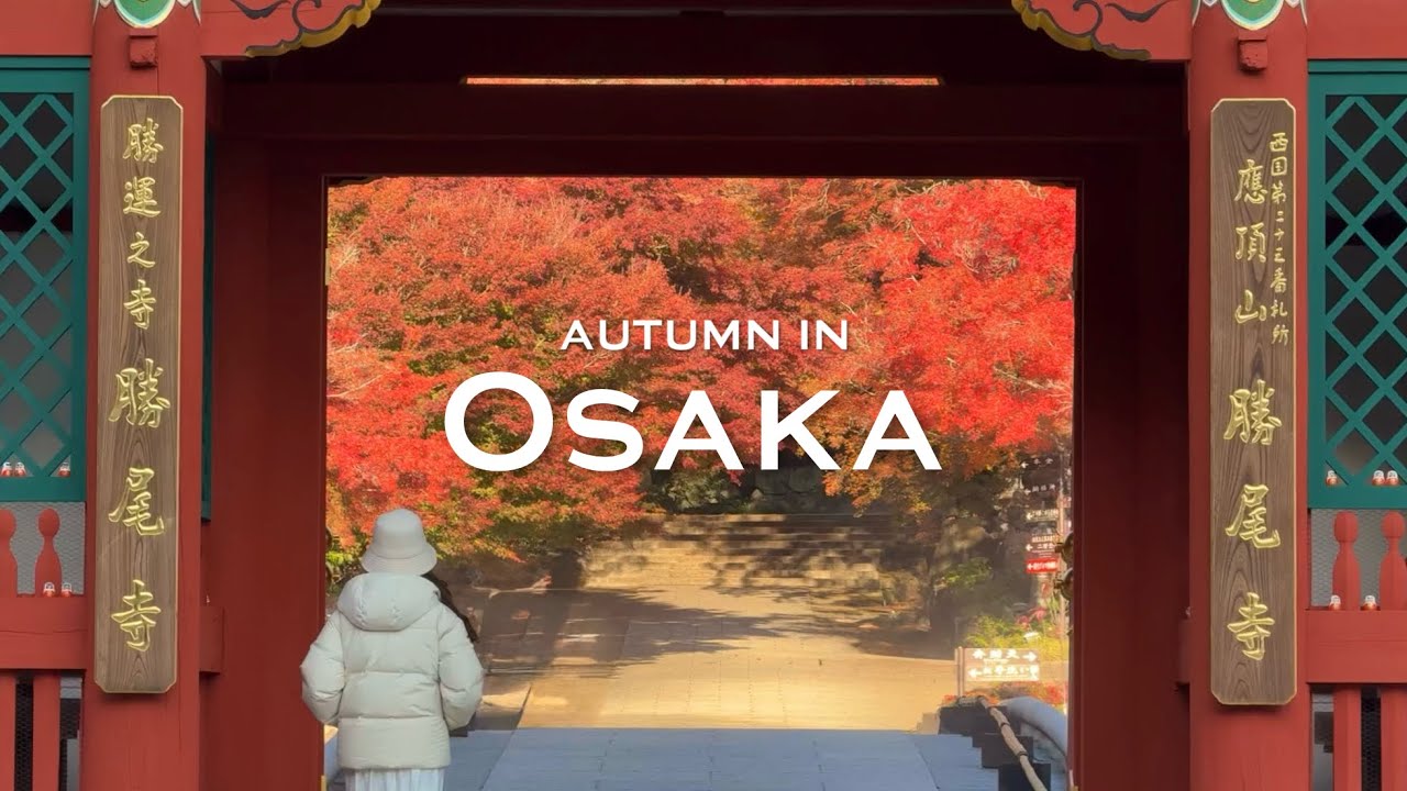 Osaka in autumn 🍂 | minoh falls, katsuoji temple, red maple leaves | JAPAN vlog