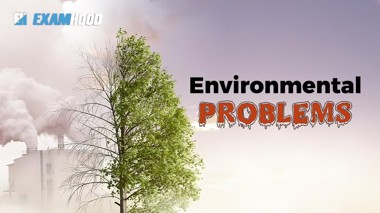 Environmental Problems