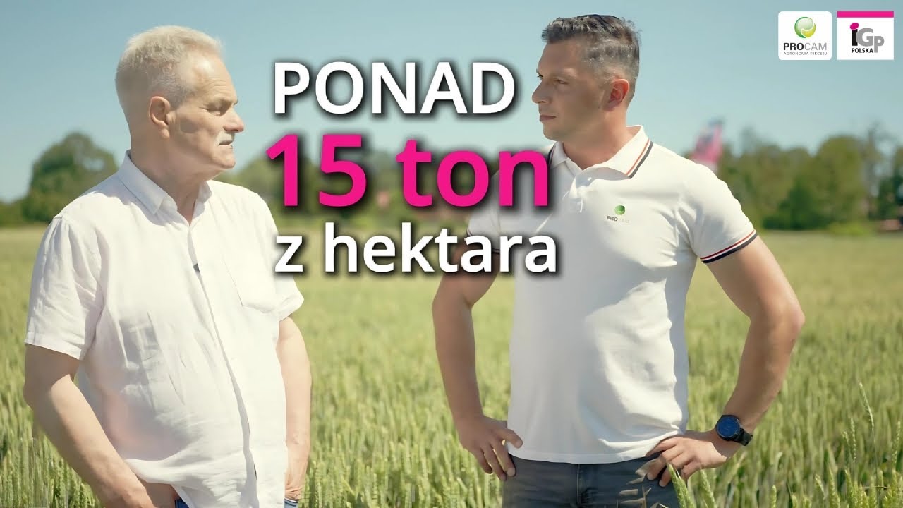 Ponad 15 ton plonu ziarna z hektara? BULLDOZER!🌱💪