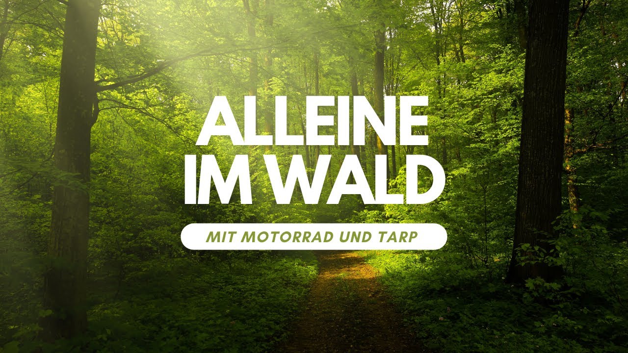 SOLO OVERNIGHTER mit Motorrad und Tarp / Eine Nacht allein im Wald. / Micro Adventure / Bushcraft