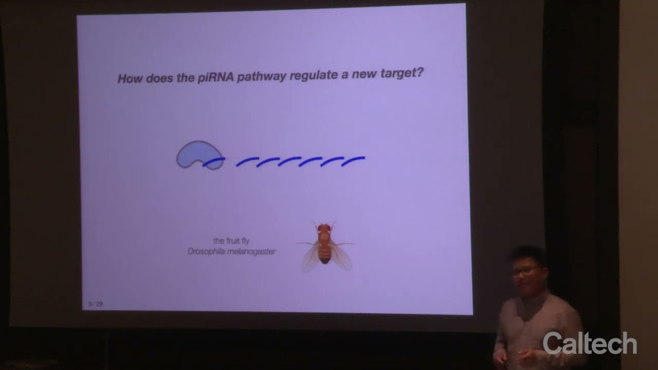 Taming the Diverse Beasts Within: Evolutionary Innovations in Genome Defense - Peiwei Chen - 6/10/24